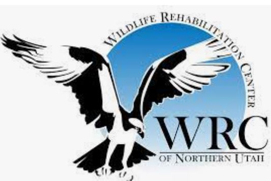 Wildlife Rehabilitation Center