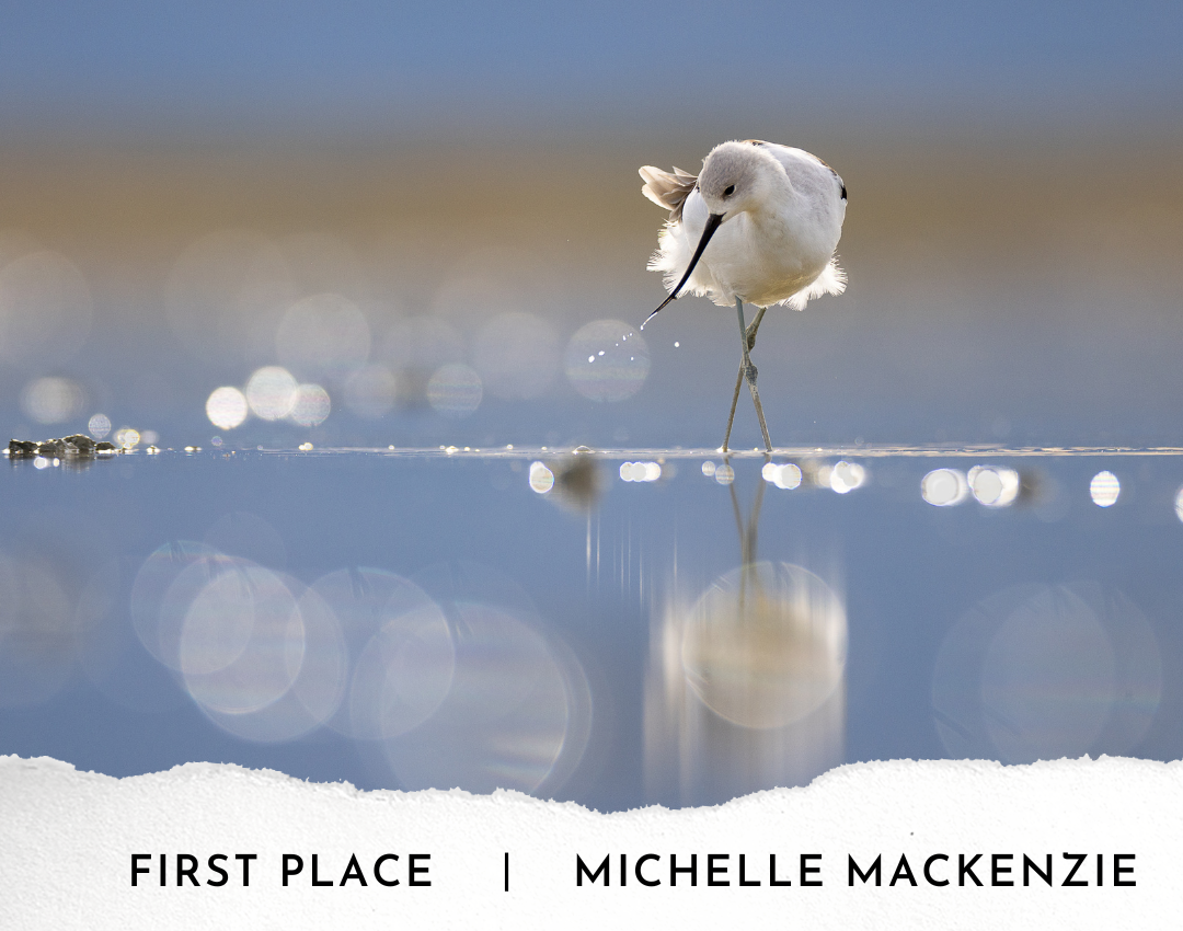 First Place: Michelle Mackenzie