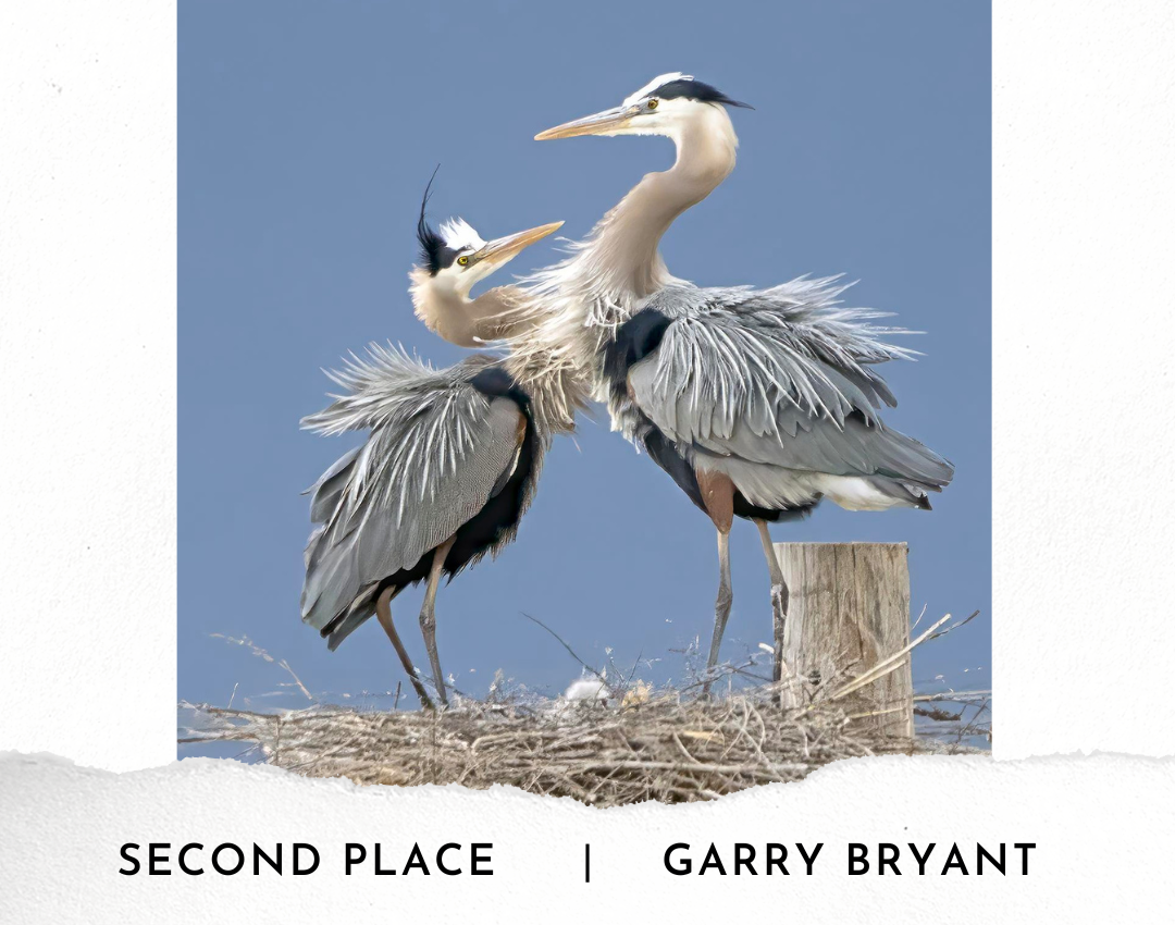 Second Place: Garry Bryant