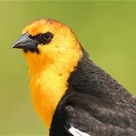 Scott Baxter_IMG_8697 Scott Baxter_IMG_8697
