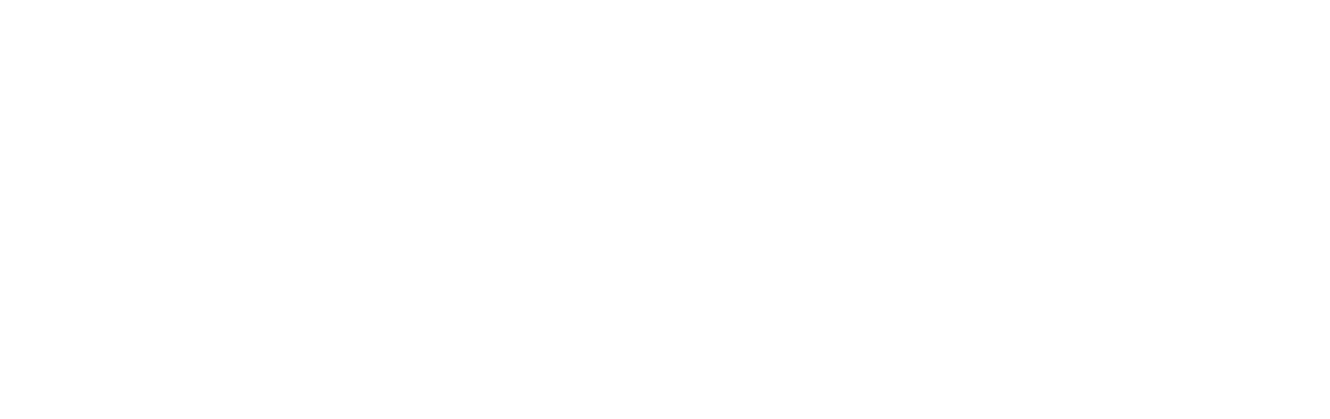 SchoolOfAviationSciences - OutlinesWhite