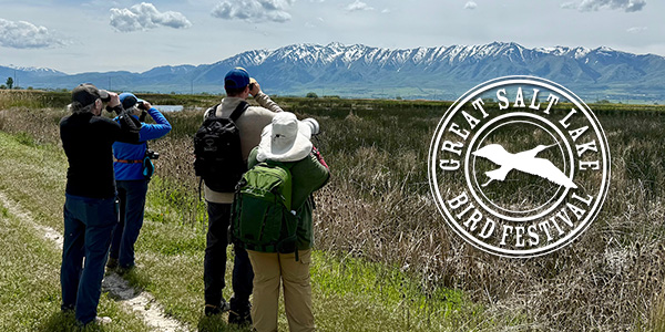 28th Annual Great Salt Lake Bird Festival