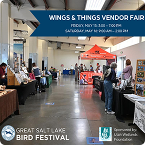 Wings & Things Vendor Fair