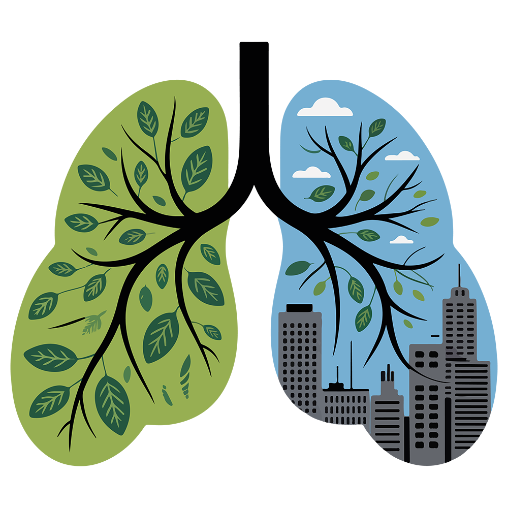 Healthy lungs illustration