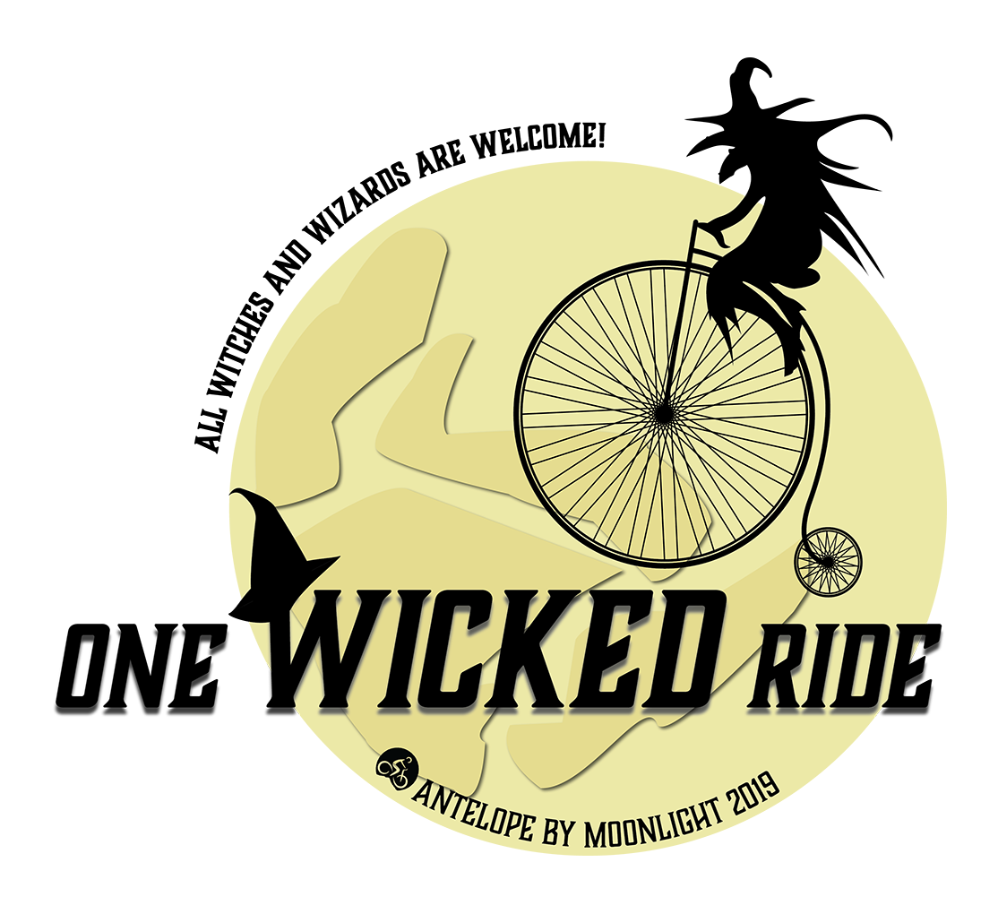 Antelope by Moonlight