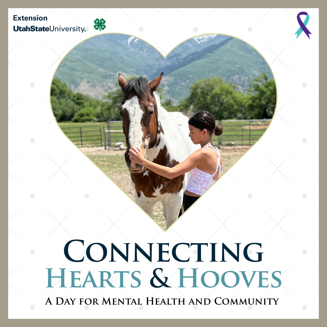 Connecting hearts and hooves