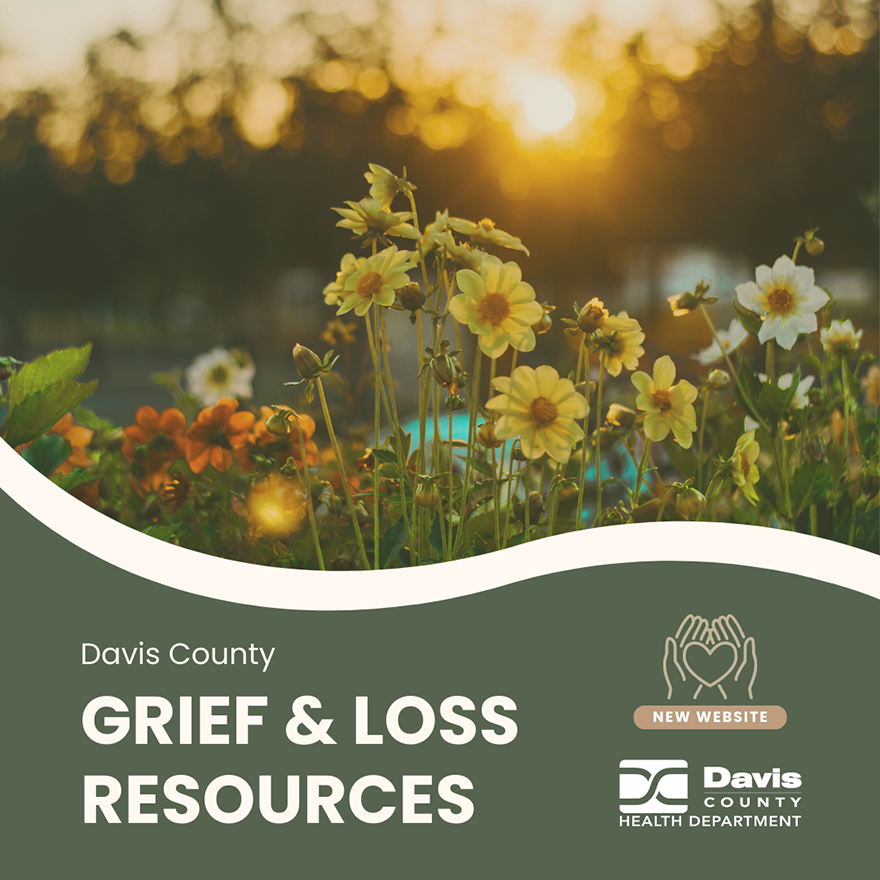 Grief and Loss