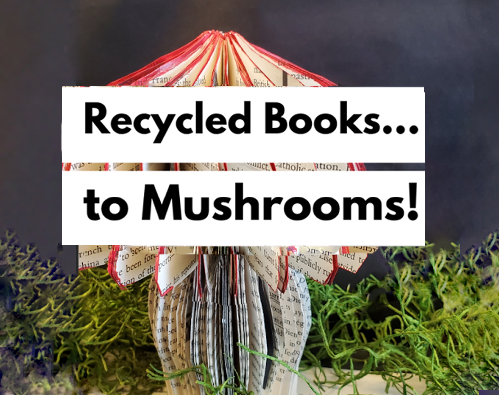 Recycled books to mushrooms