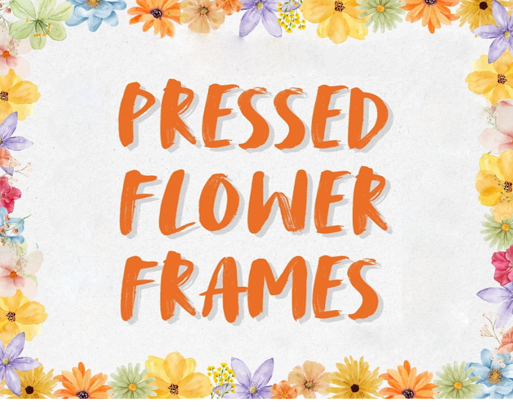 Pressed Flower Frames