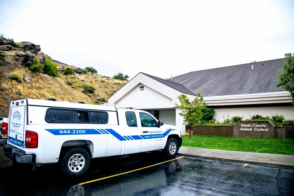 Davis County Utah - Animal Care