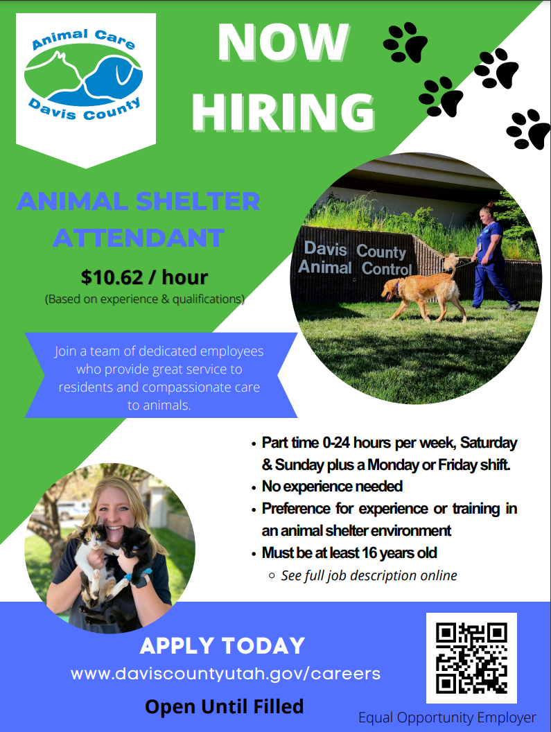 Animal Shelter Attendant - Fruit Heights, UT - Davis County Government Jobs