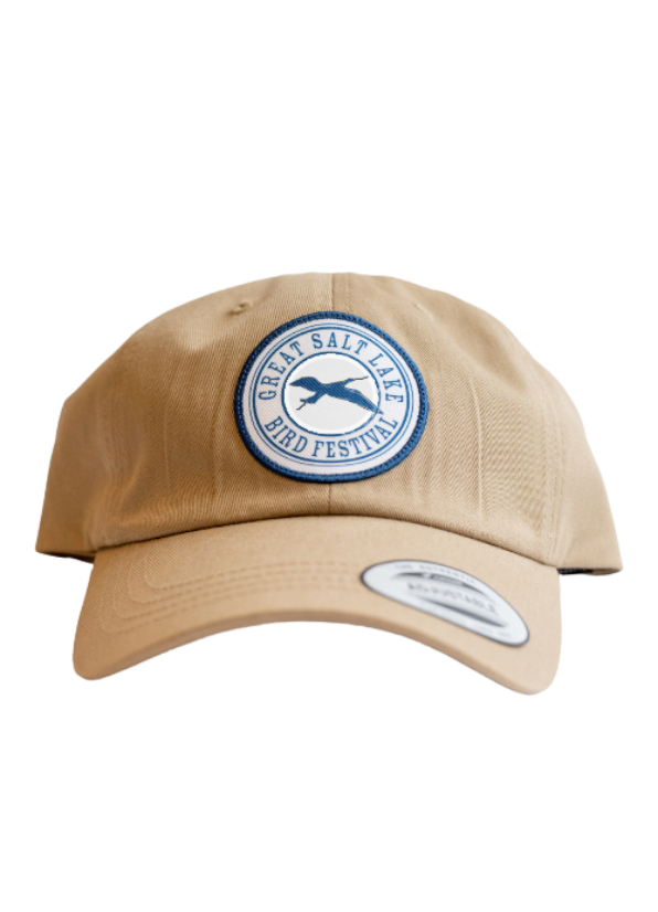 Khaki Baseball Hat