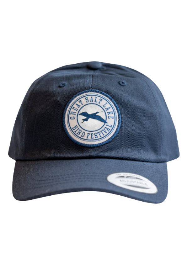 Navy Baseball Hat