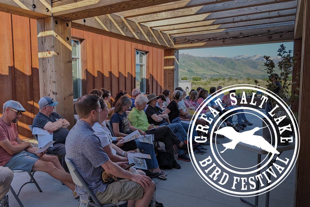Discover Davis Staff