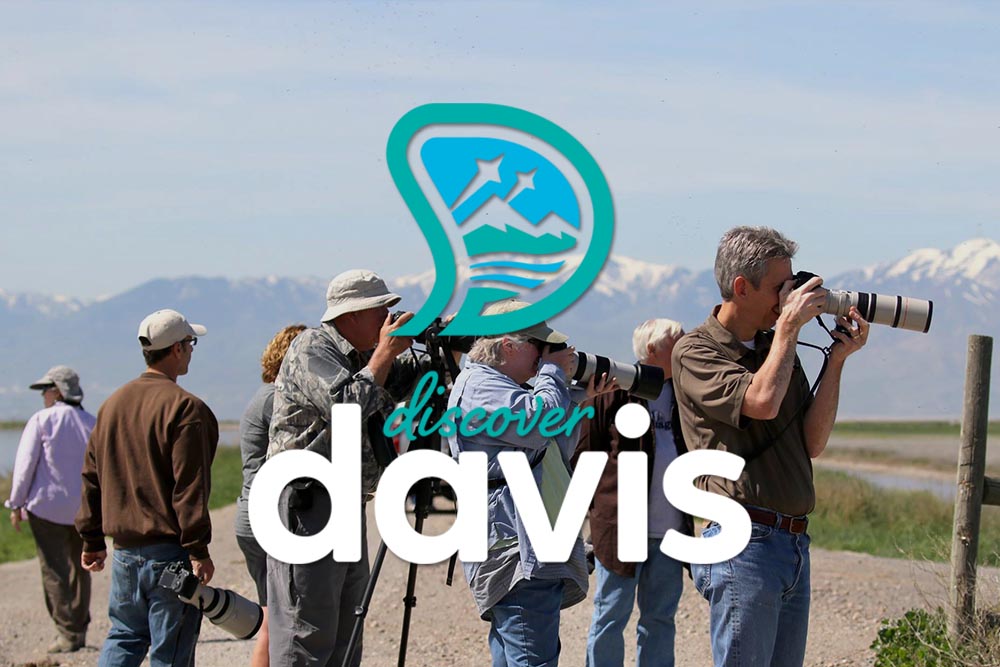 Discover Davis Staff