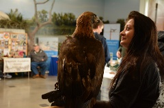 discoverdavis_20870187_Small