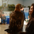 discoverdavis_20870187_Small