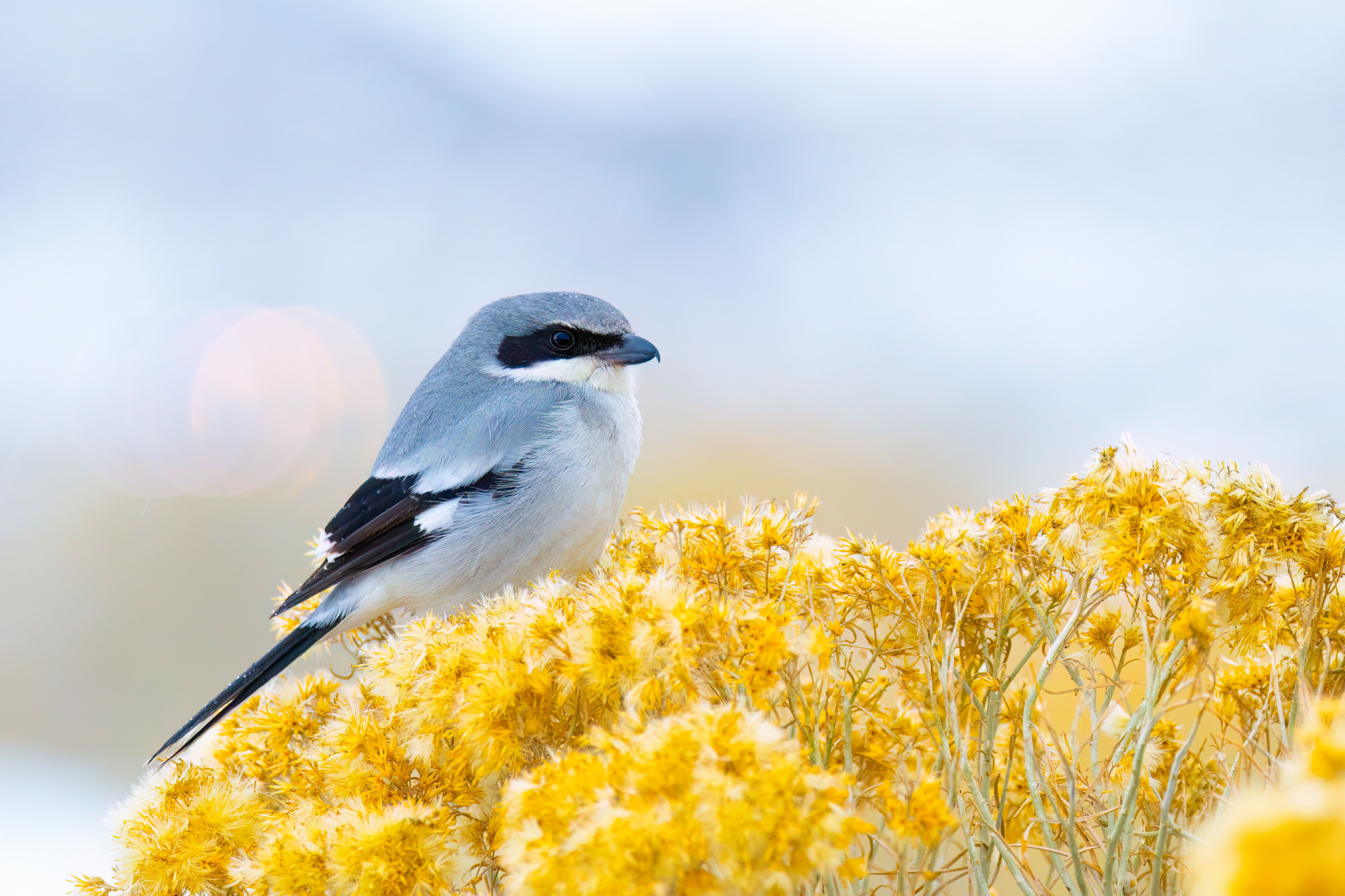 2025 Photo Contest First Place_Quinn Diaz