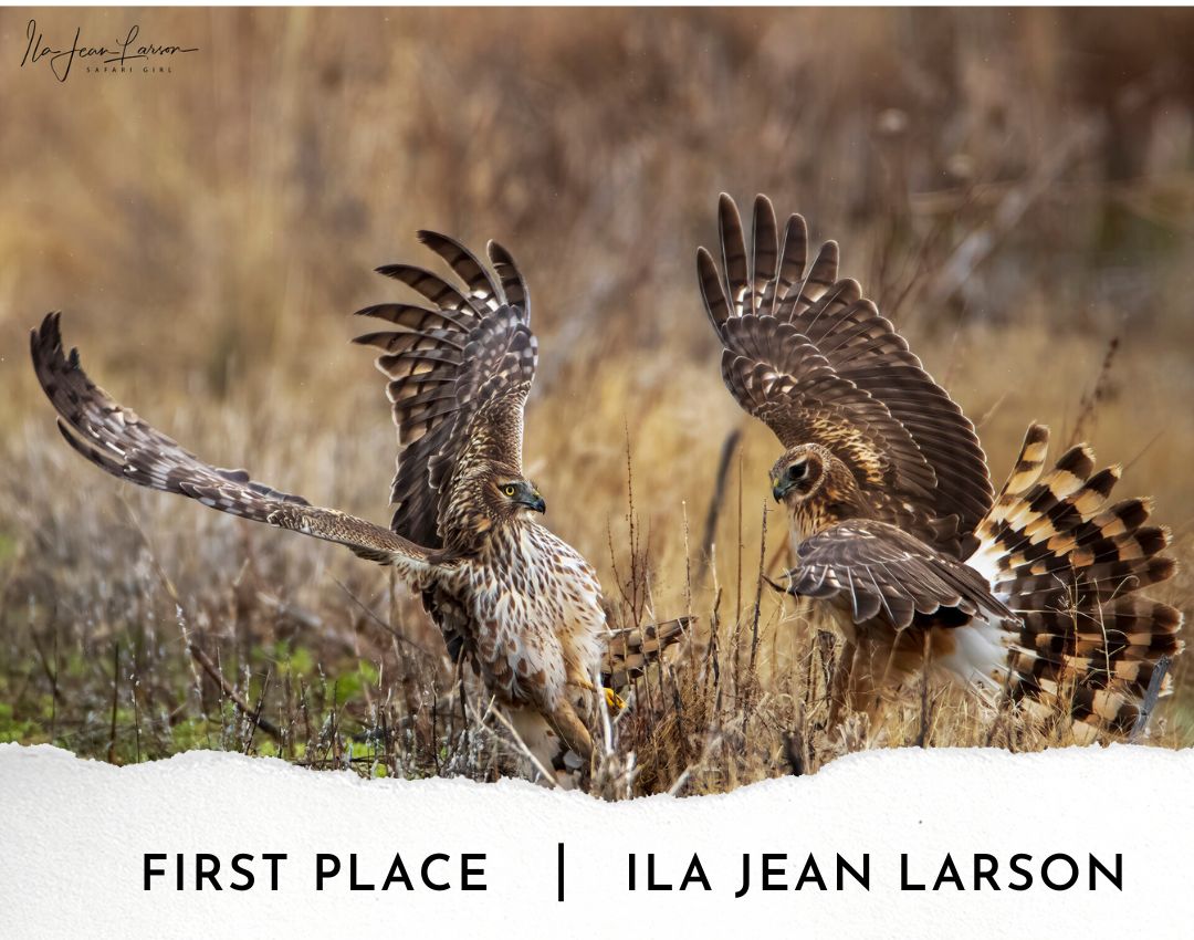 2022 Photo Contest-First Place-Ila Jean Larson