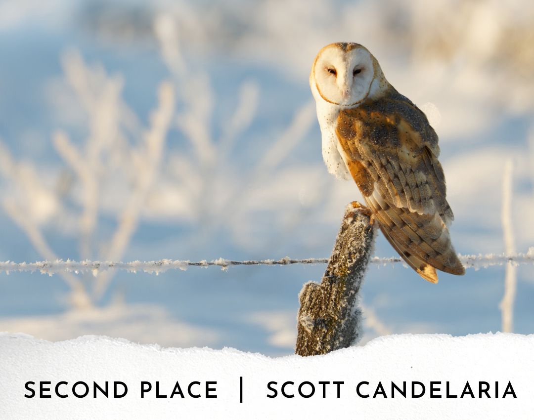 2022 Photo Contest-Second Place-Scott Candelaria