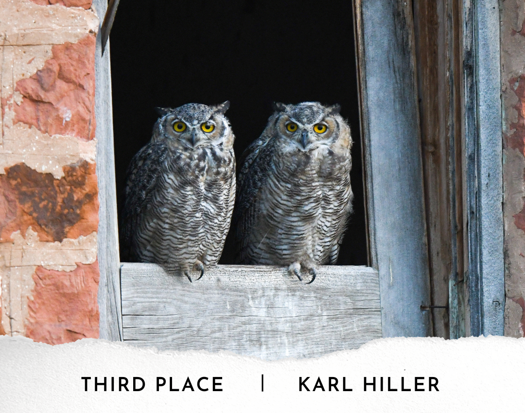 Third Place: Karl Hiller