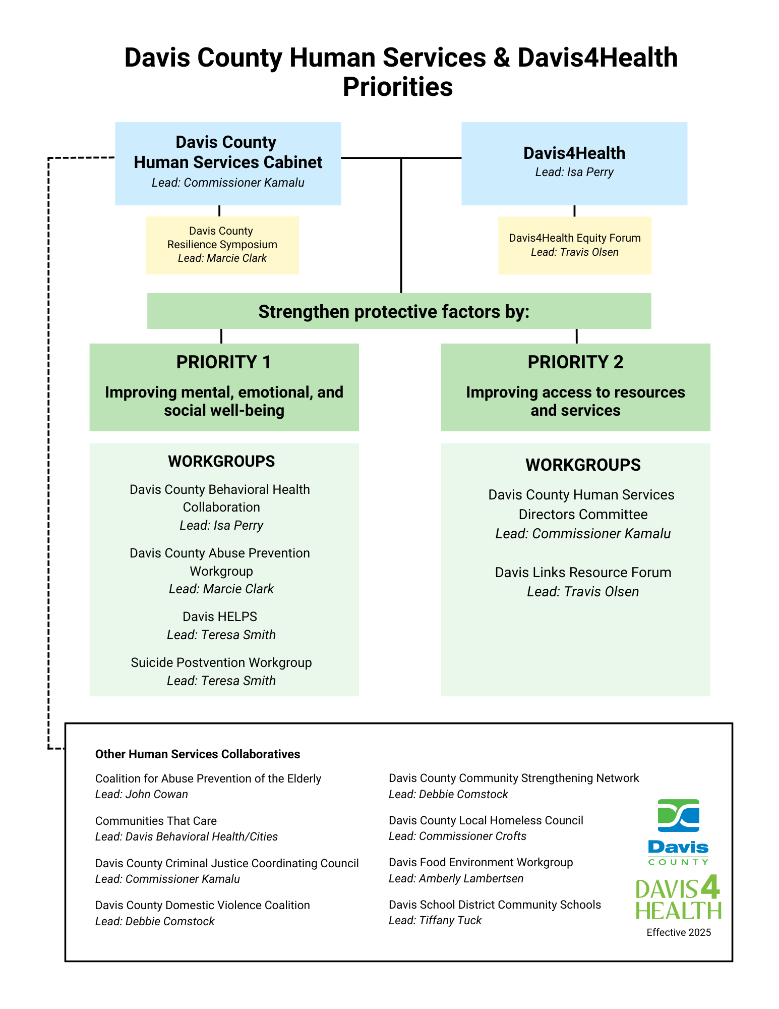Lists Davis County Human Services & Davis4Health Priorities, including an organizational chart and human services collaboratives
