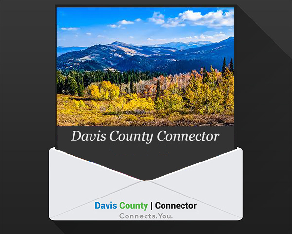 newsletter - autumn