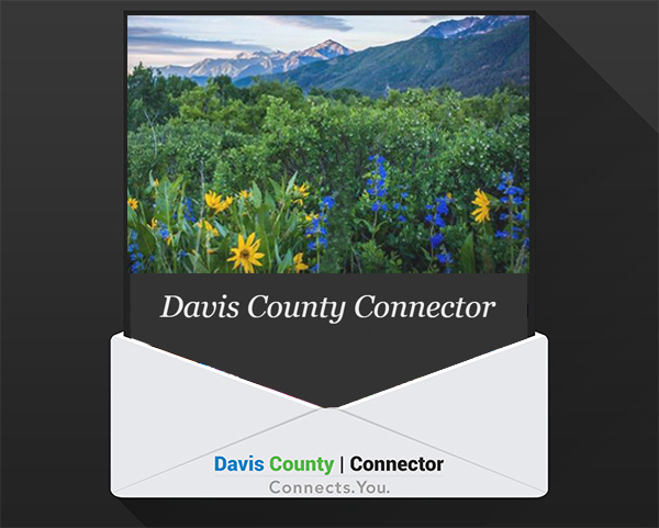 newsletter - summer