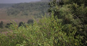 ContactingandVisitingtheRecordersOffice