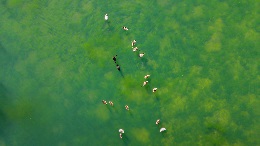 UsingPropertyWatchtoProtectYourHome